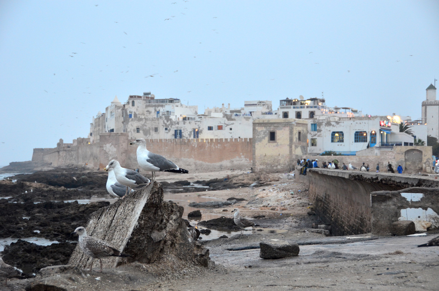 Here's Why You Shouldn't Miss the City of Essaouira, Morocco