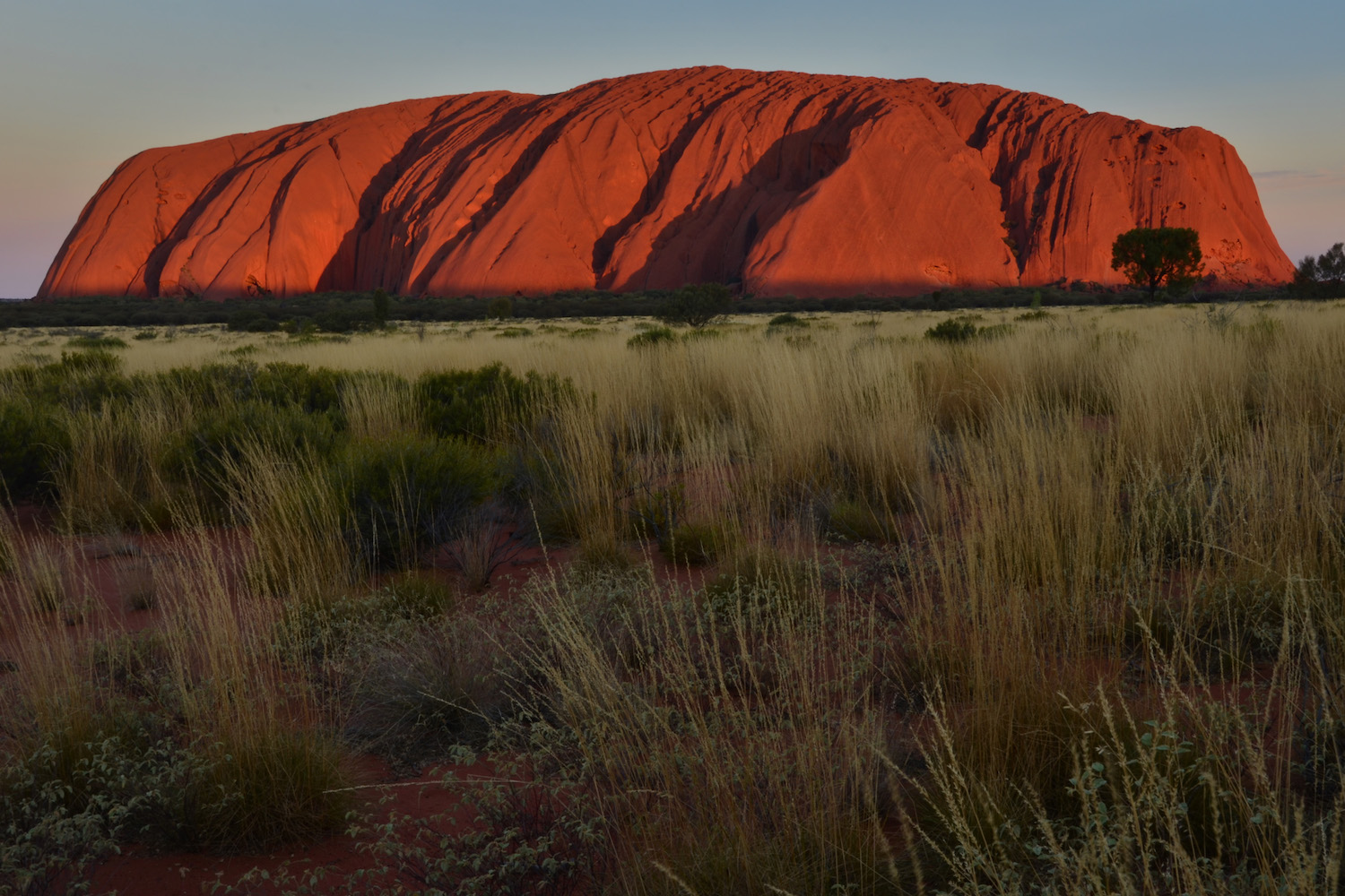 Australia’s Red Centre is More Than Uluru