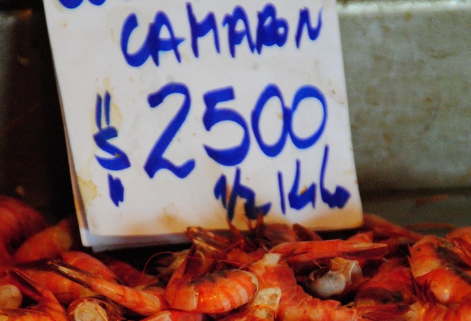 Shrimp in Chile