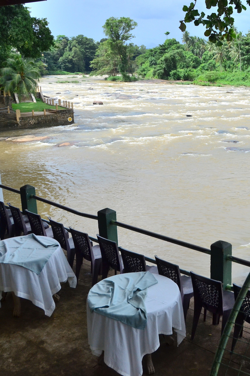 Elephant restaurant