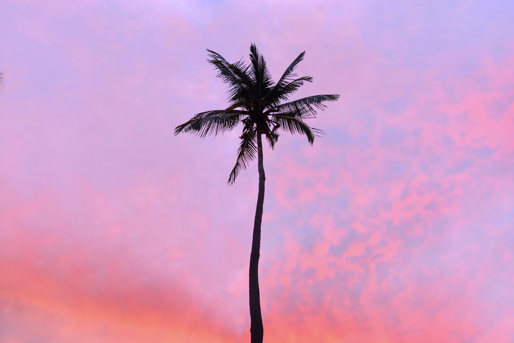 Is Raja Ampat Worth It?