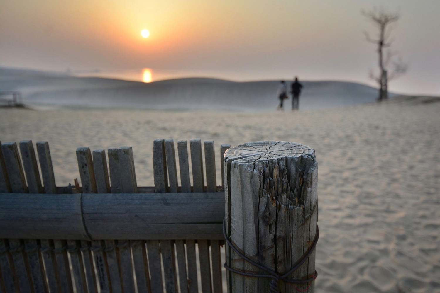 Sunset in desert in Tottori, Japan