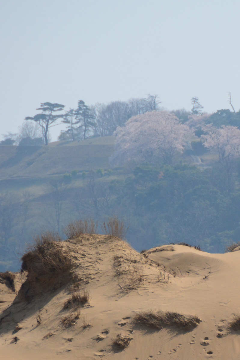 Yes, Japan Has a Desert – and Yes, It’s Amazing: Tottori Sand Dunes.