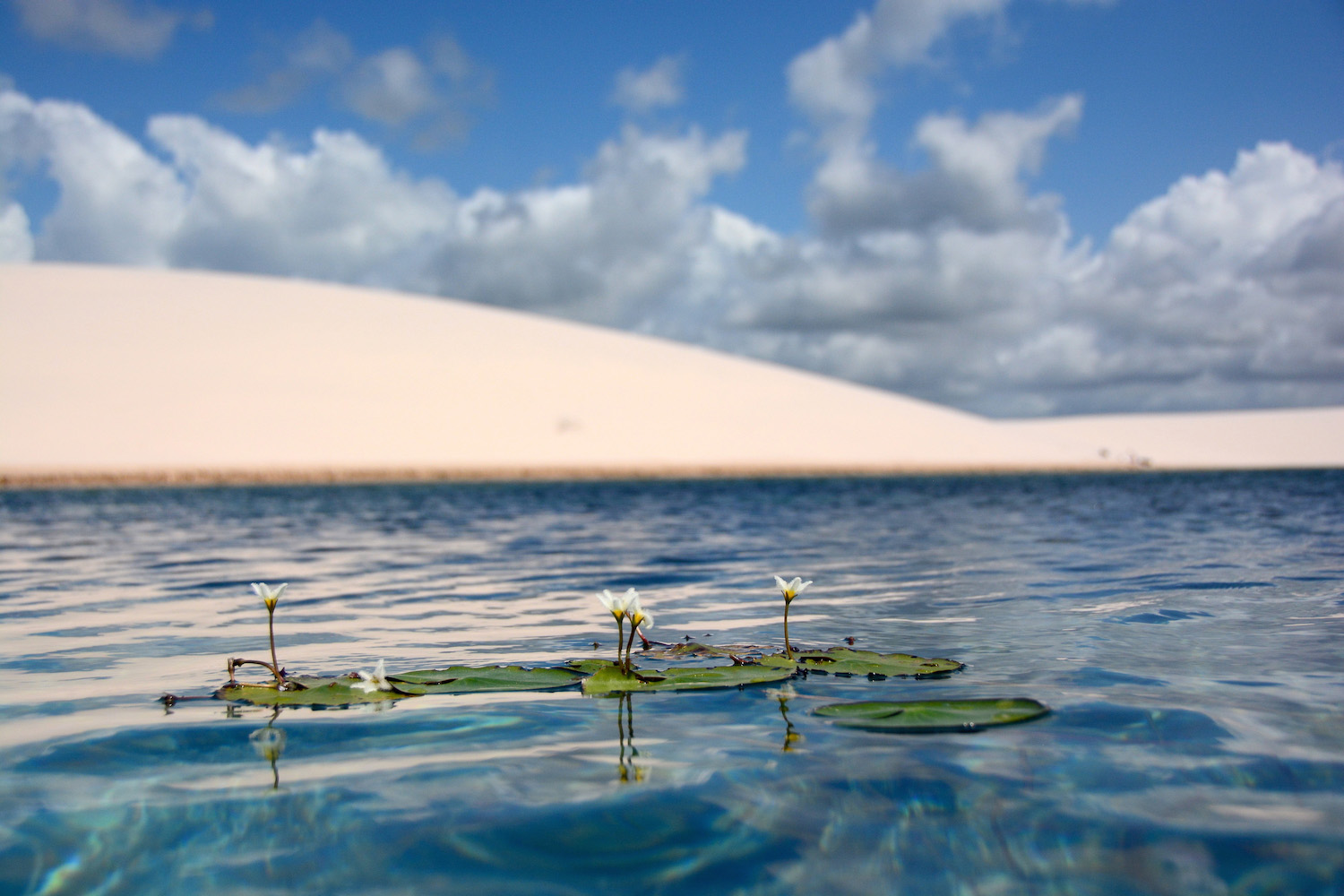 Lençóis Maranhenses: How to Visit Brazil Sand Dunes and Lagoons