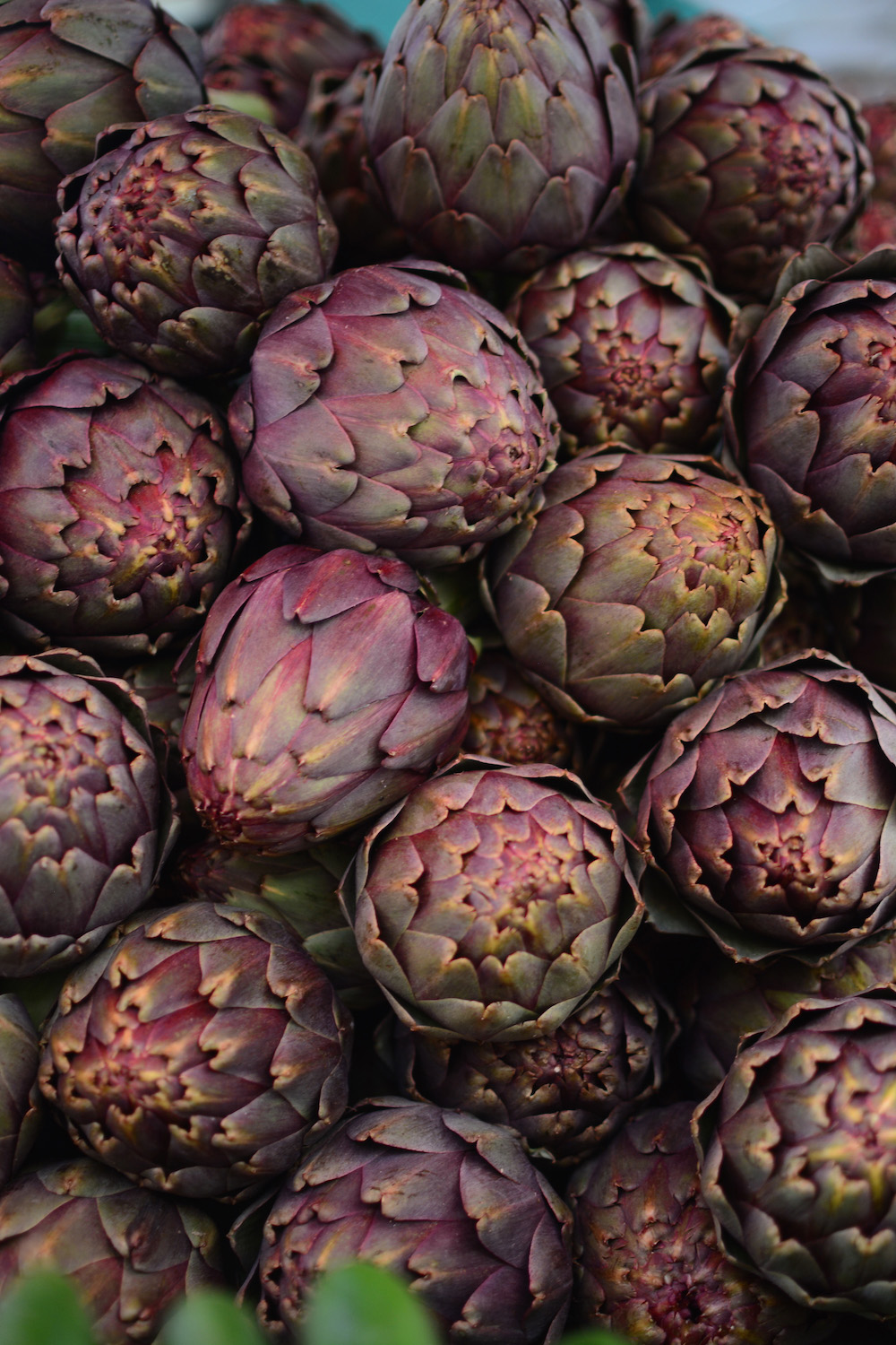 Artichokes at Carmel Market in Jaffa