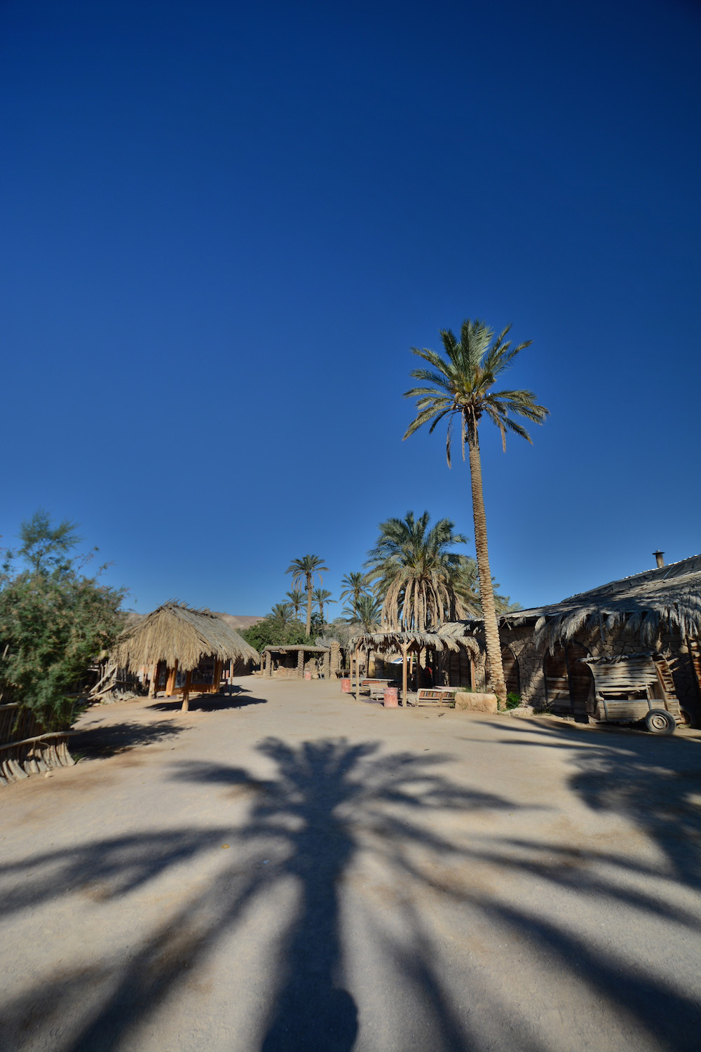 Desert lodging: Kfar Hankodim