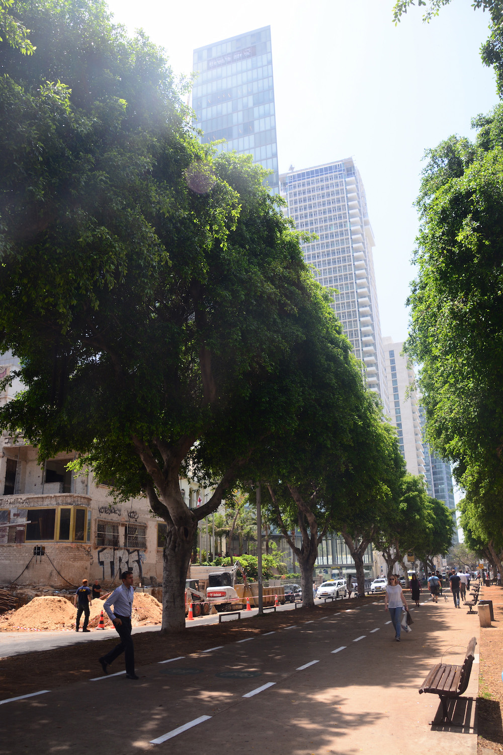 Rothschild Boulevard in Tel Aviv