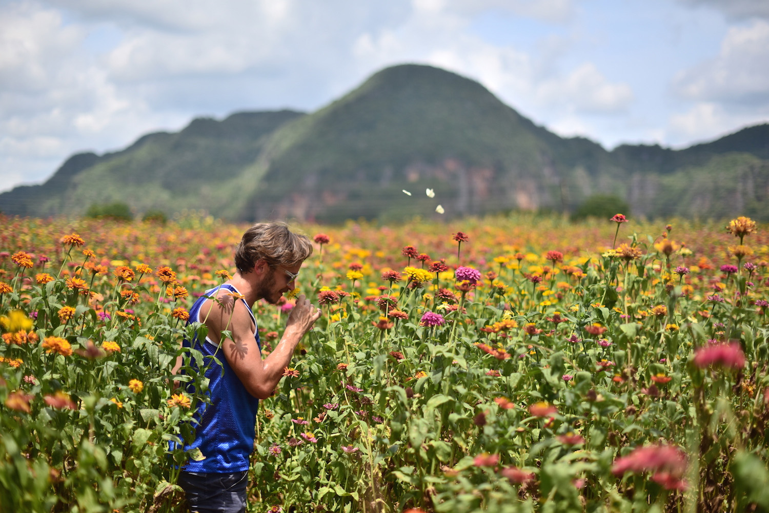 Cuba travel pictures frolicking in field of flowers