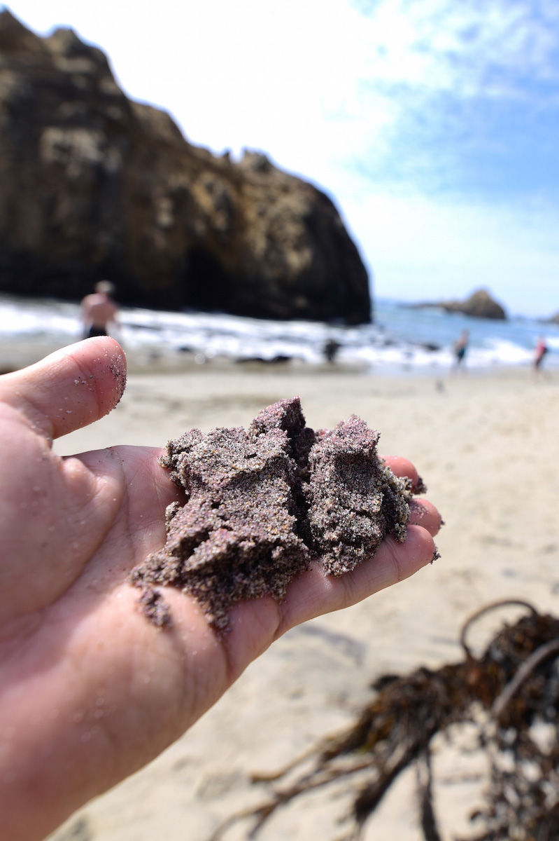 Pacific Coast Highway Purple Beach