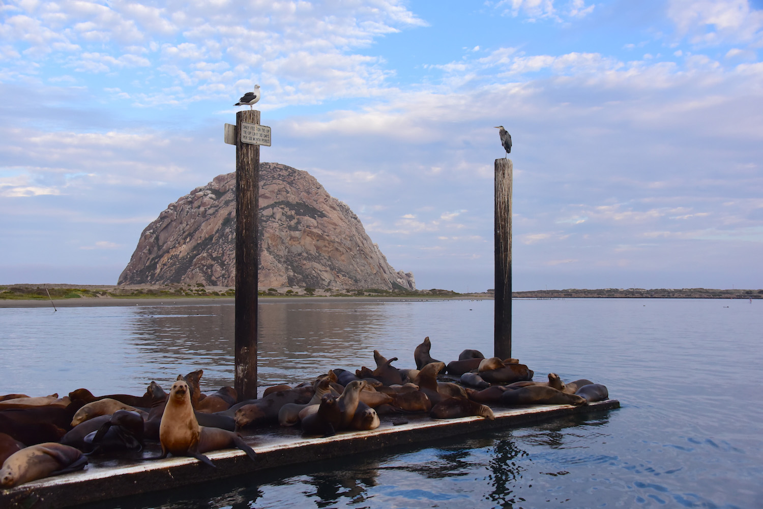 What is the Best Time of Year to Drive the Pacific Coast Highway?