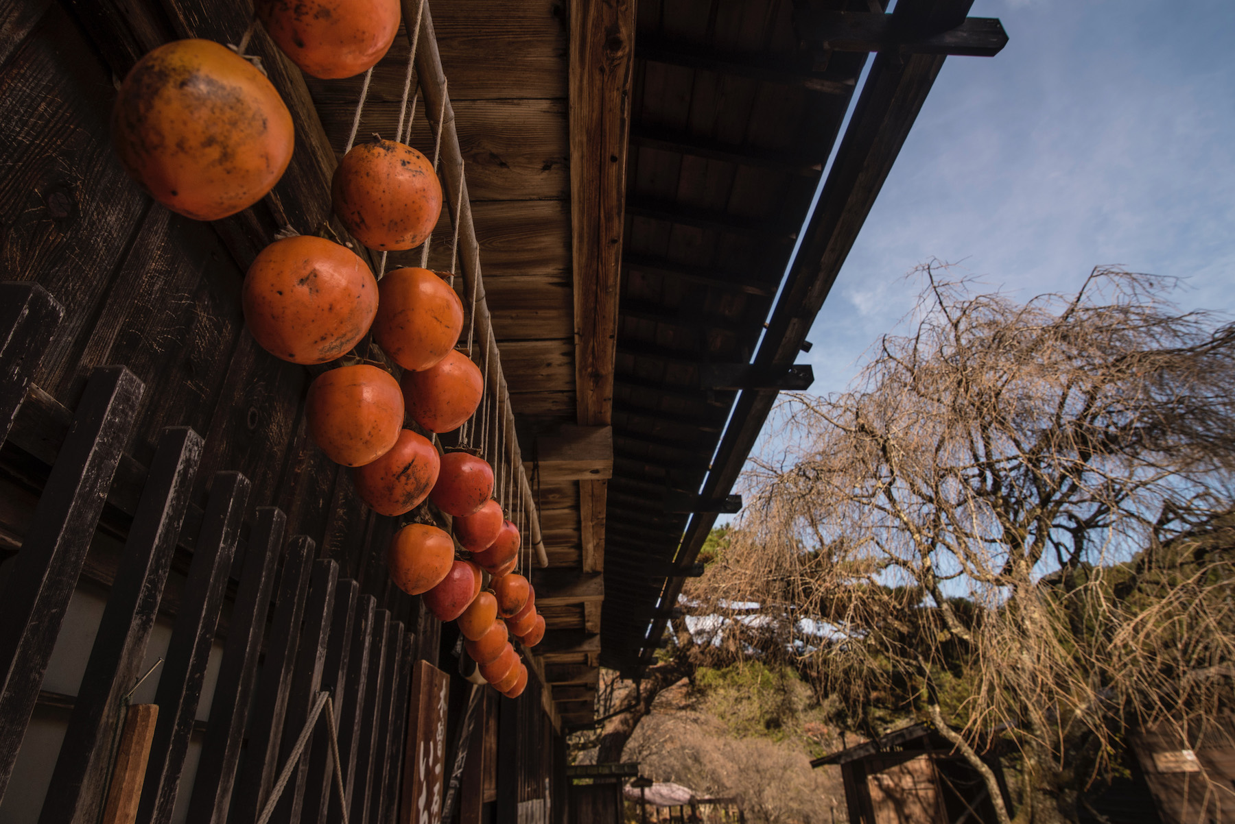 Japan's Nakasendo Way