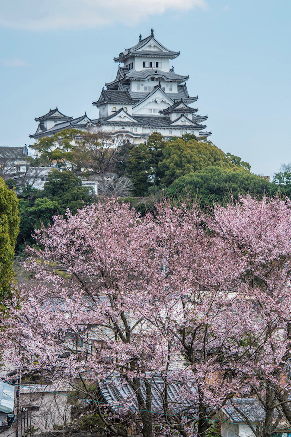 Japan travel pictures of Himeji Castle
