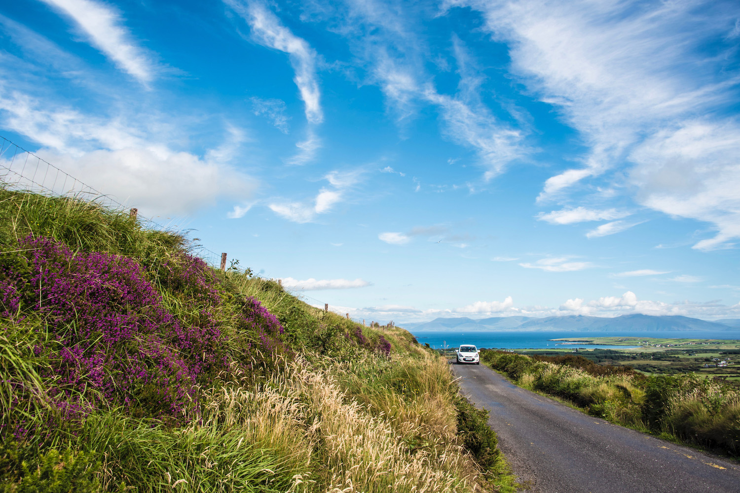 wild atlantic road trip