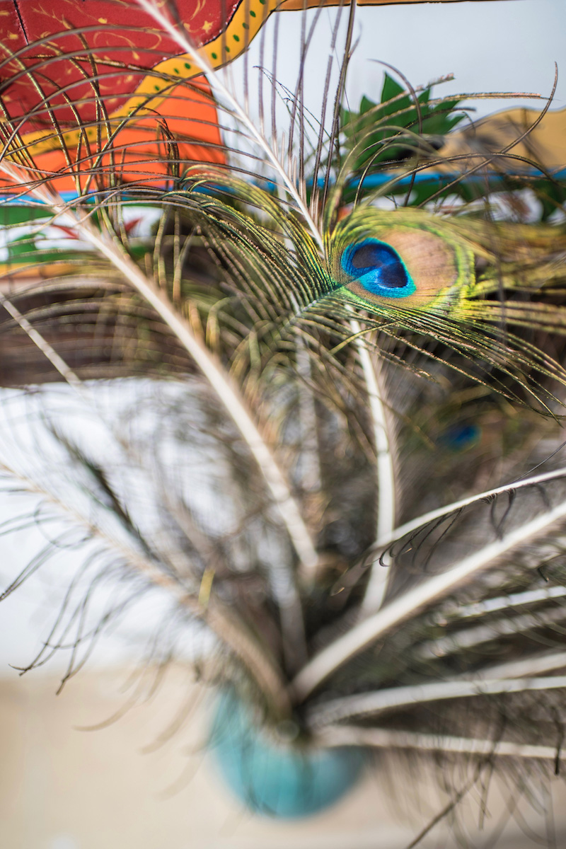 Iran travel pictures peacock feather in Kashan