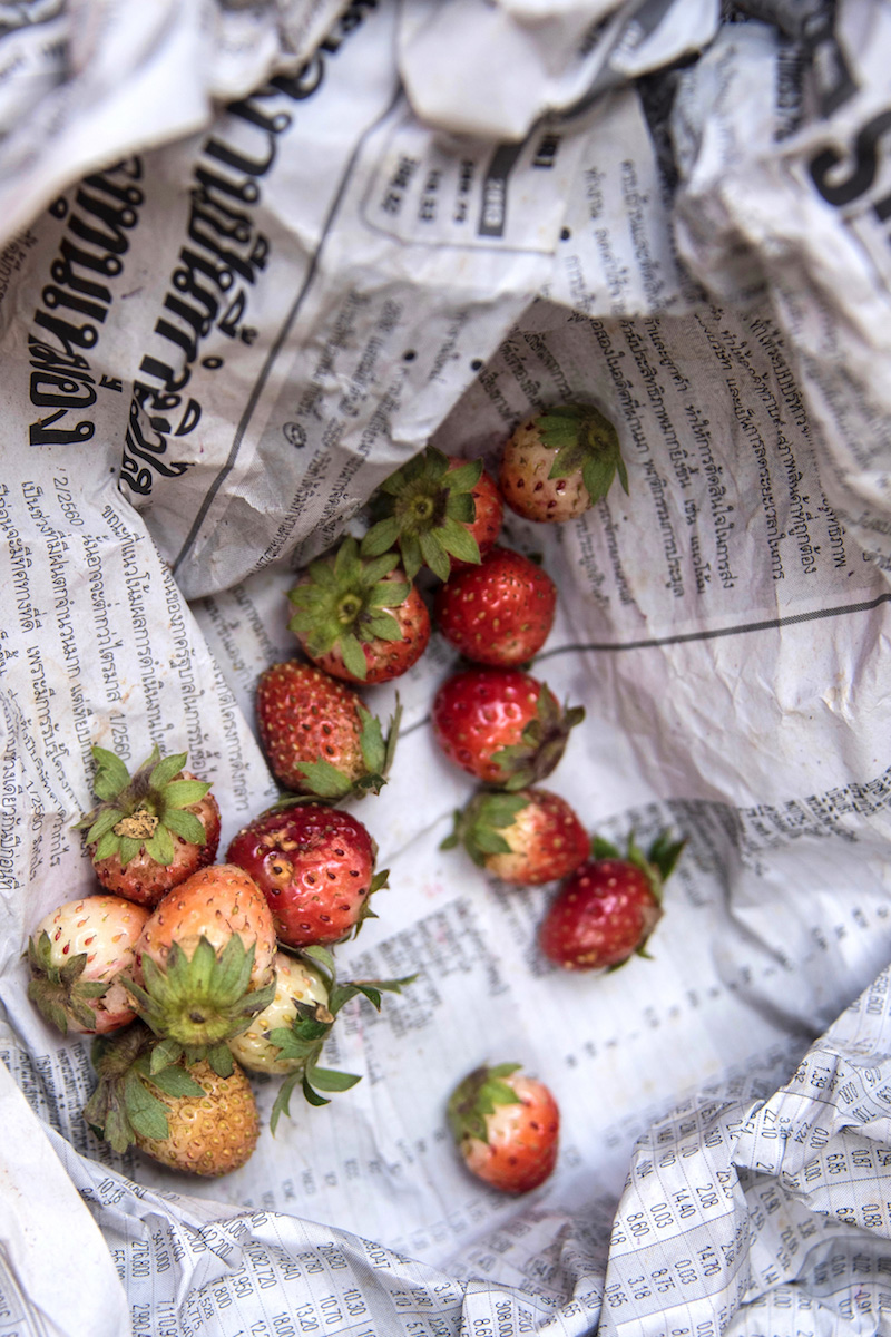 Chiang Mai Thailand strawberries