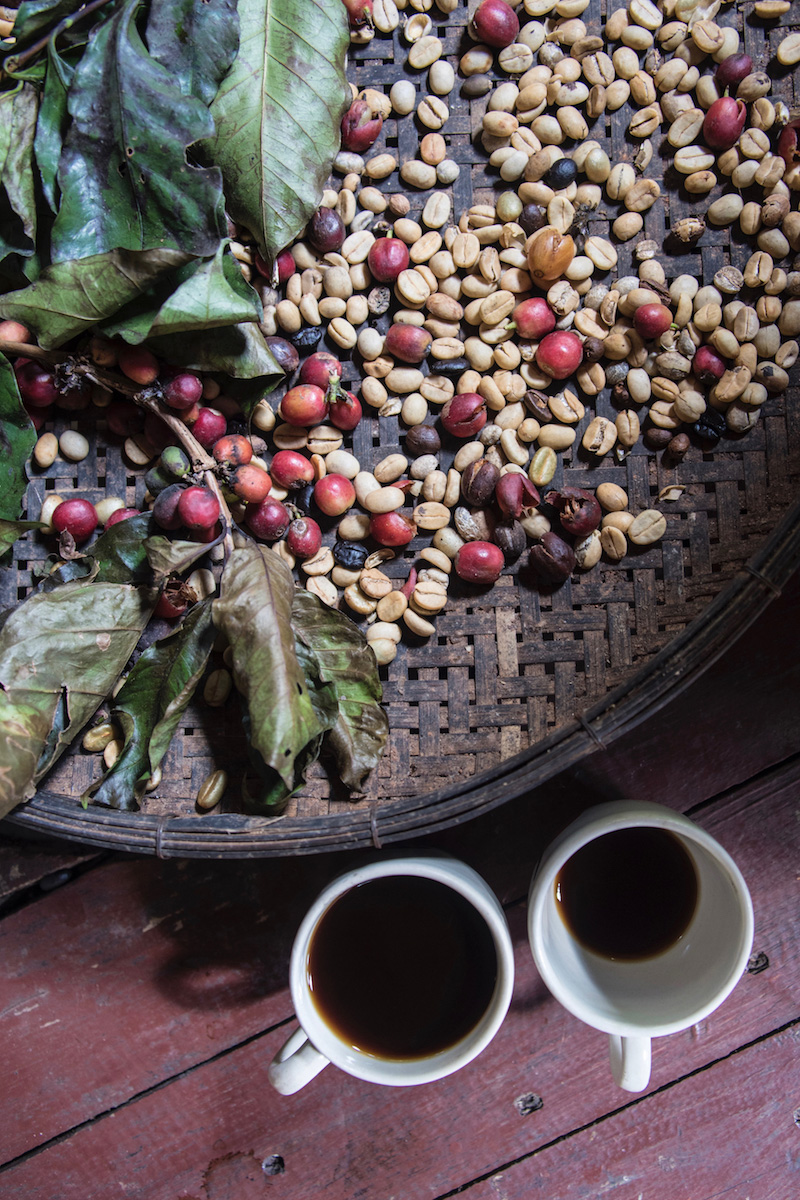 Thai Coffee Chiang Mai