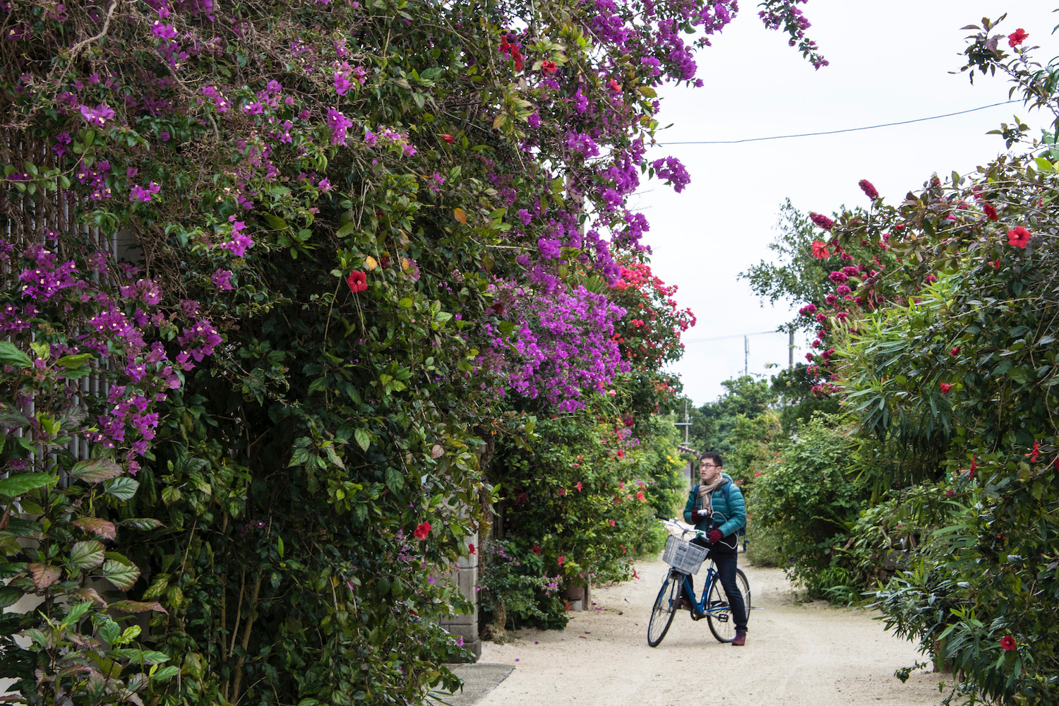 Taketomi Island in Ishigaki Okinawa Ishigaki Travel Guide