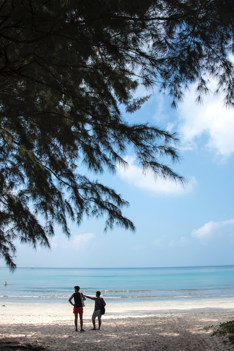 Koh Phayam Thailand pine trees