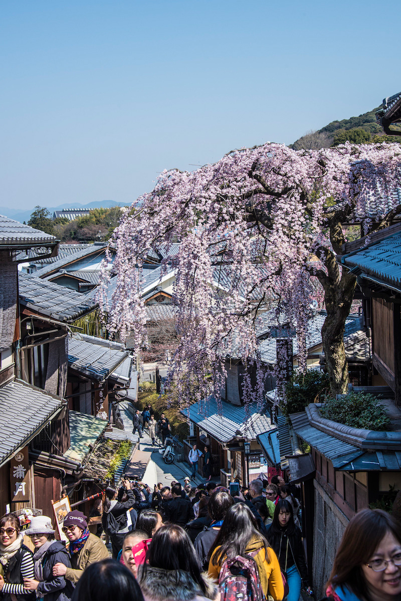 Spring in Kyoto, Japan