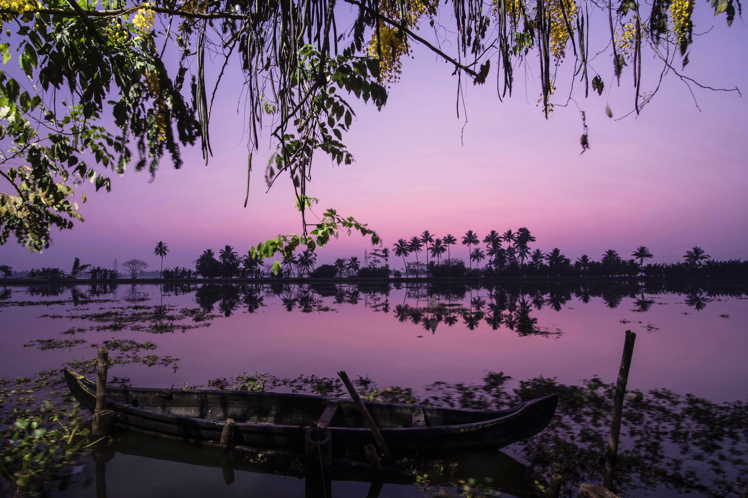 Sunrise in Kerala's backwaters