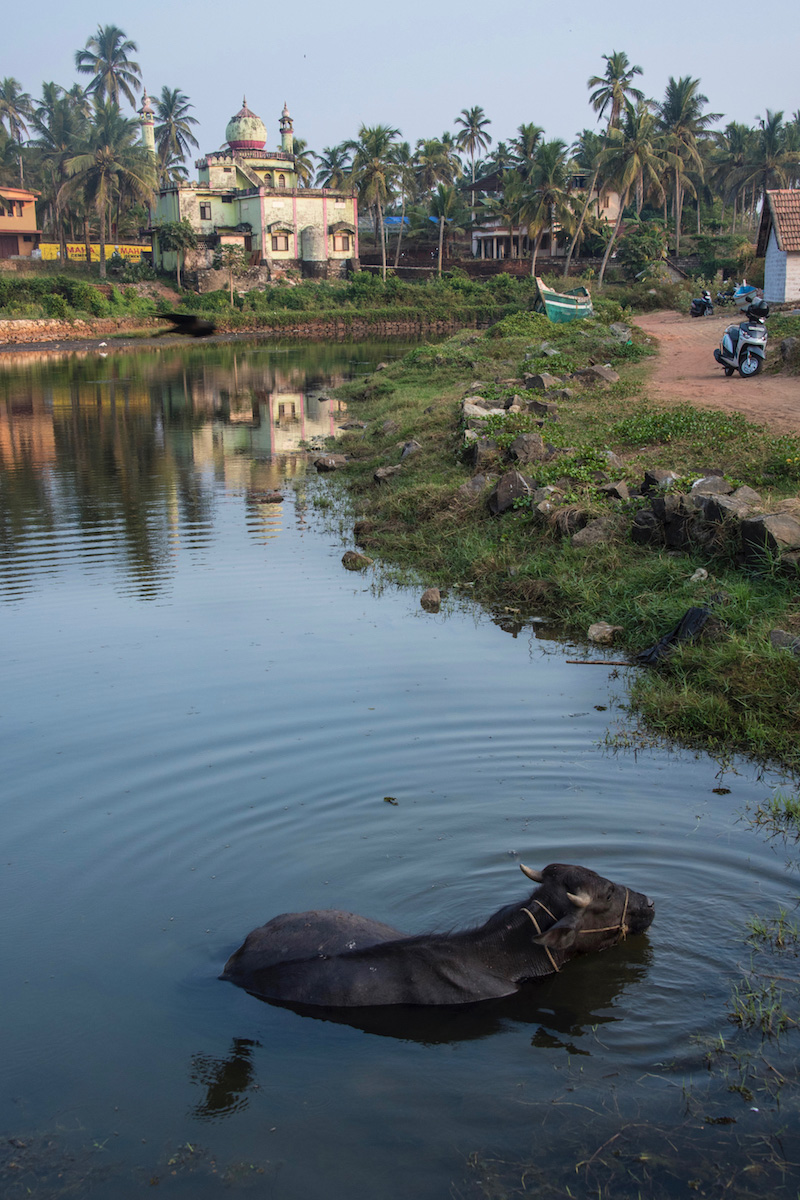 Mosque in Kerala, India