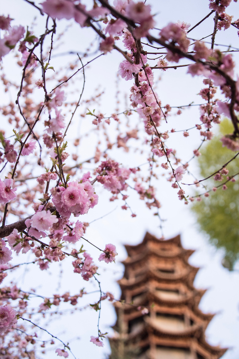 Pagoda in Gansu, China