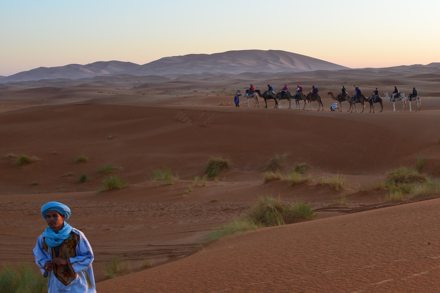 Camping, Camels and Sand Dunes