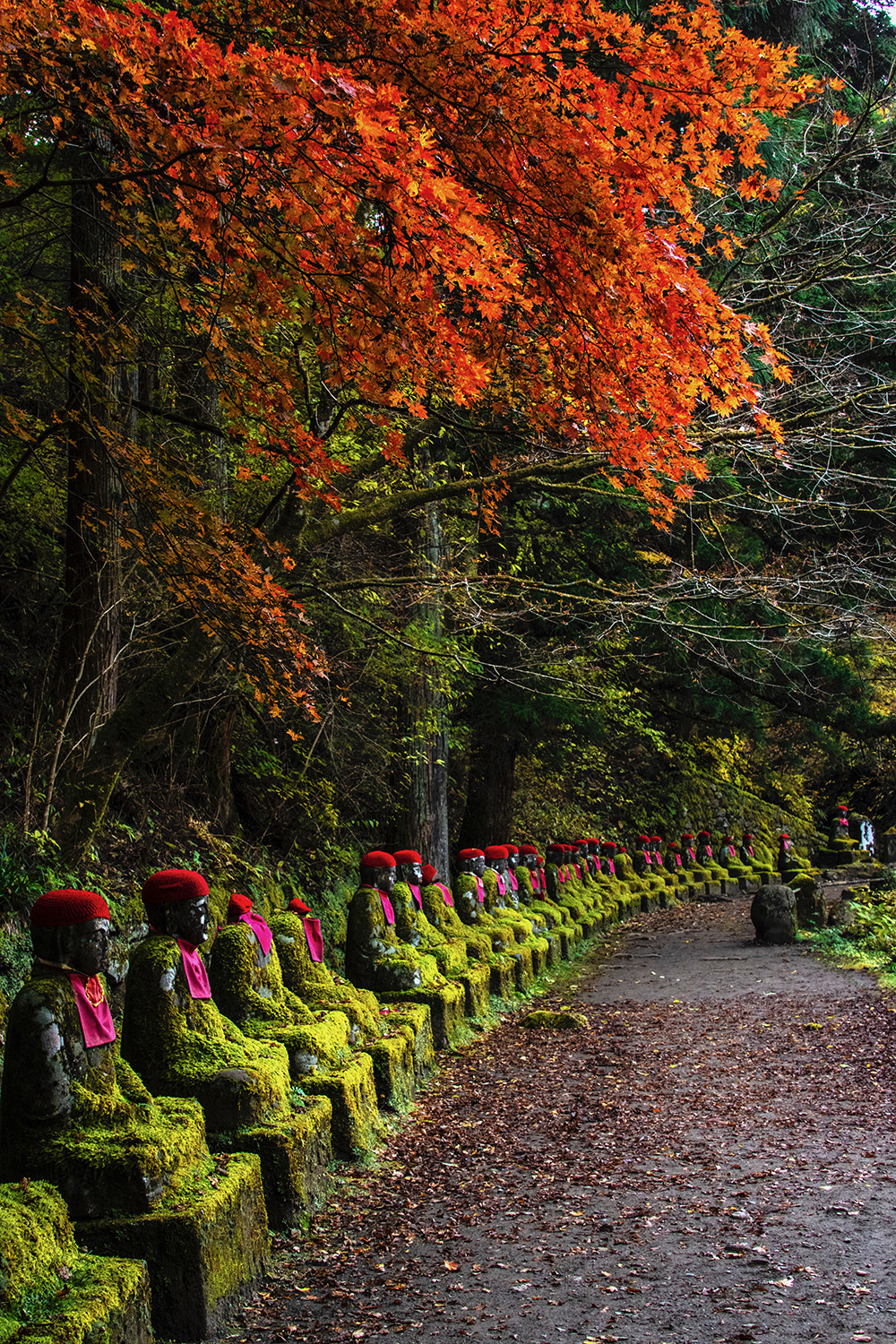 here-s-how-to-take-a-day-trip-from-tokyo-to-nikko