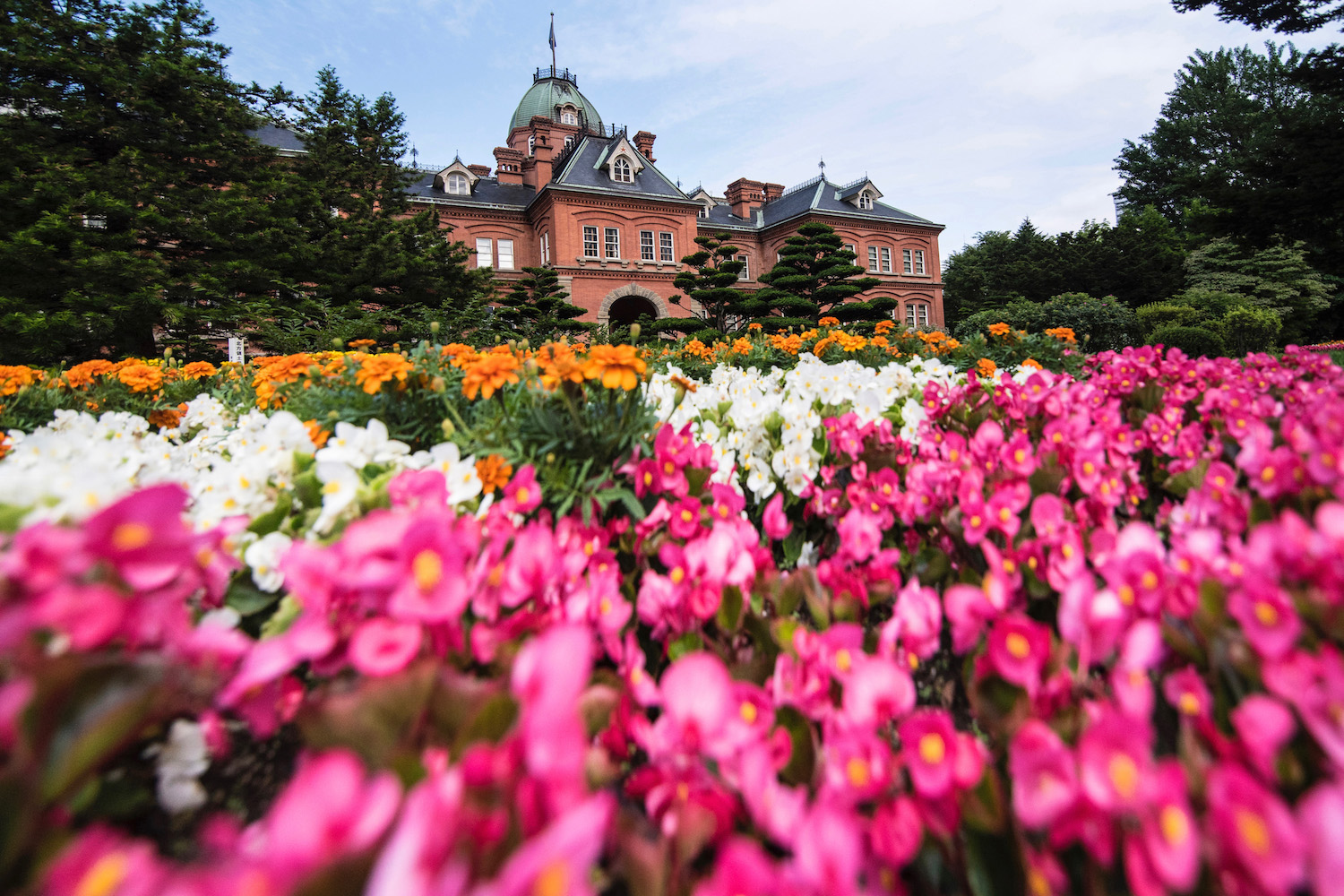 Sapporo Lavender Farm