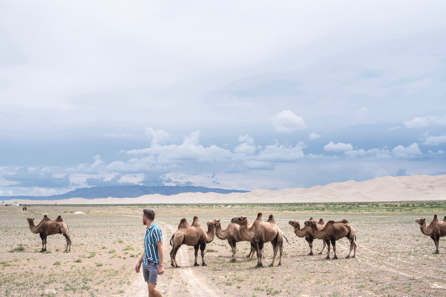 mongolia desert tour