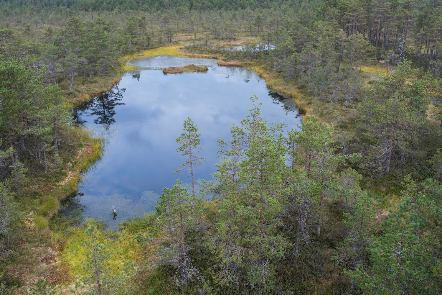 tourism in baltic states