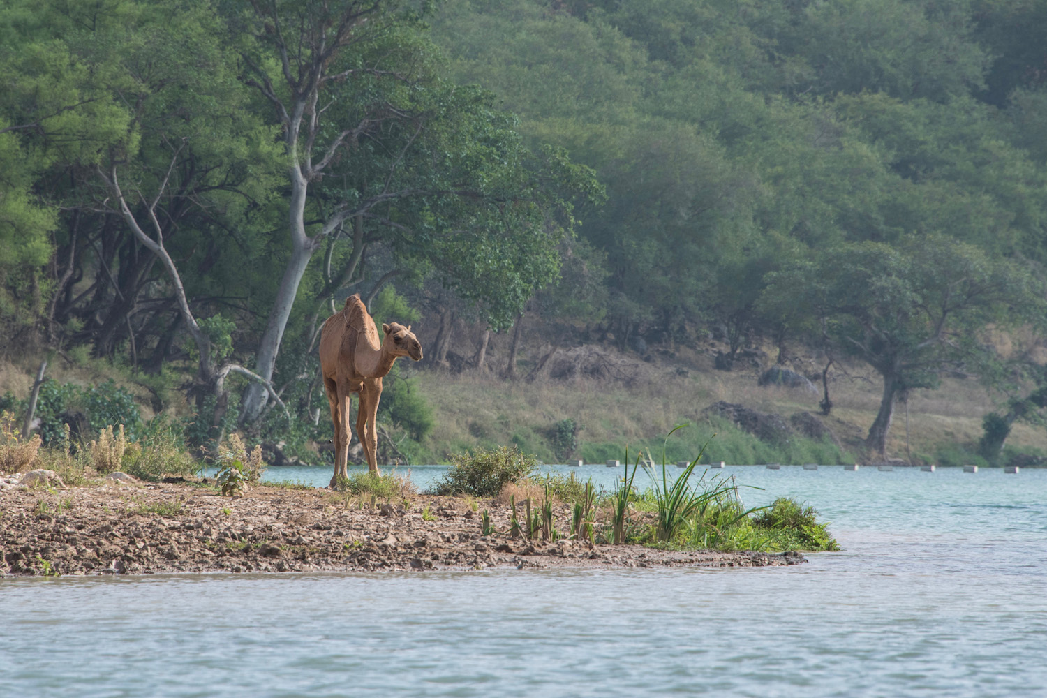 essay about tourism in salalah