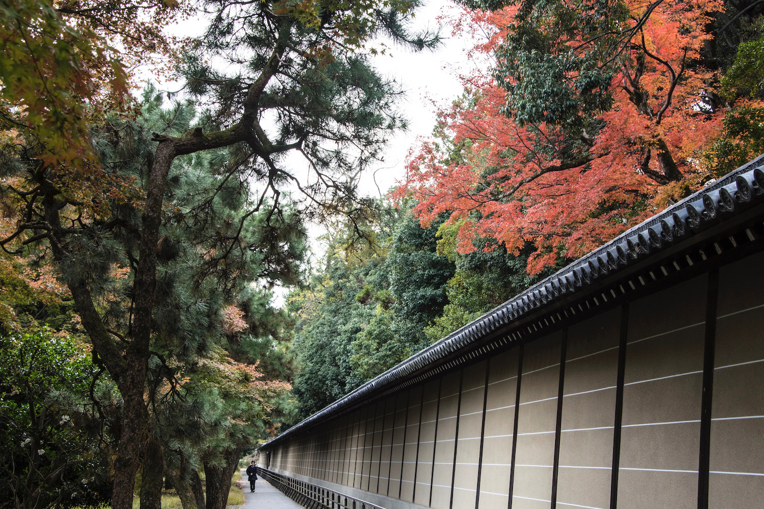 Kyoto itinerary