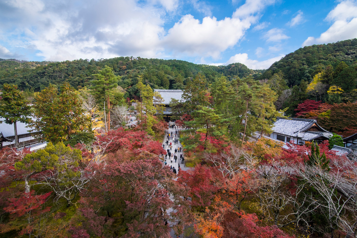 Osaka Japan in the autumn