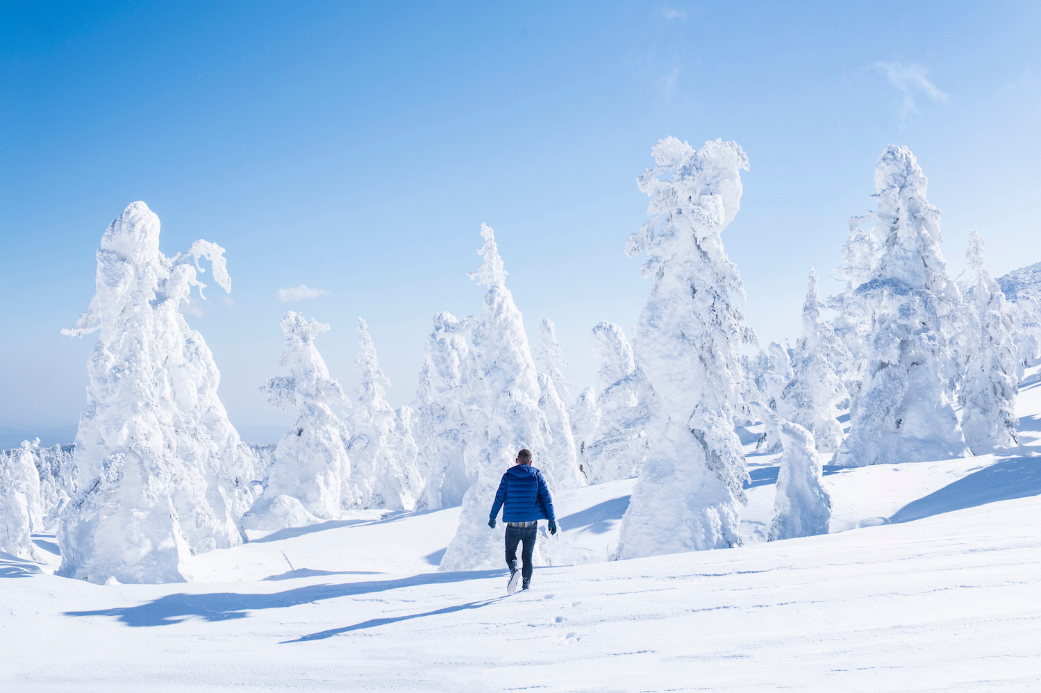 Snow Monsters in Zao Onsen, Japan