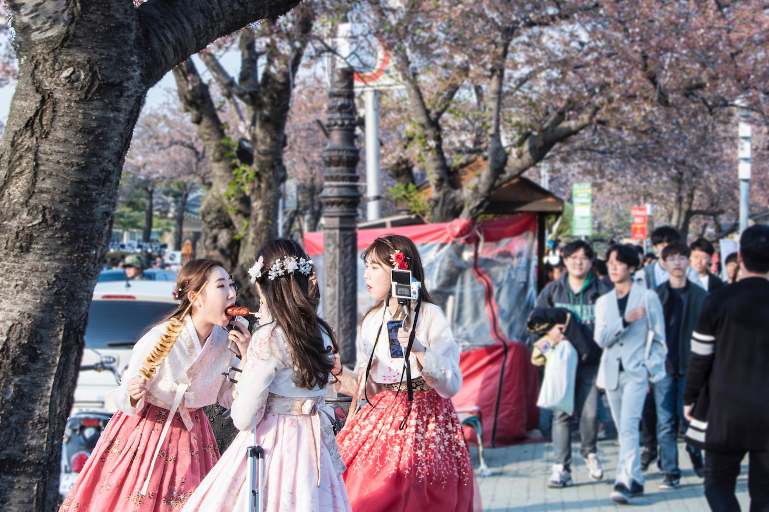 japan vs korea tourism reddit