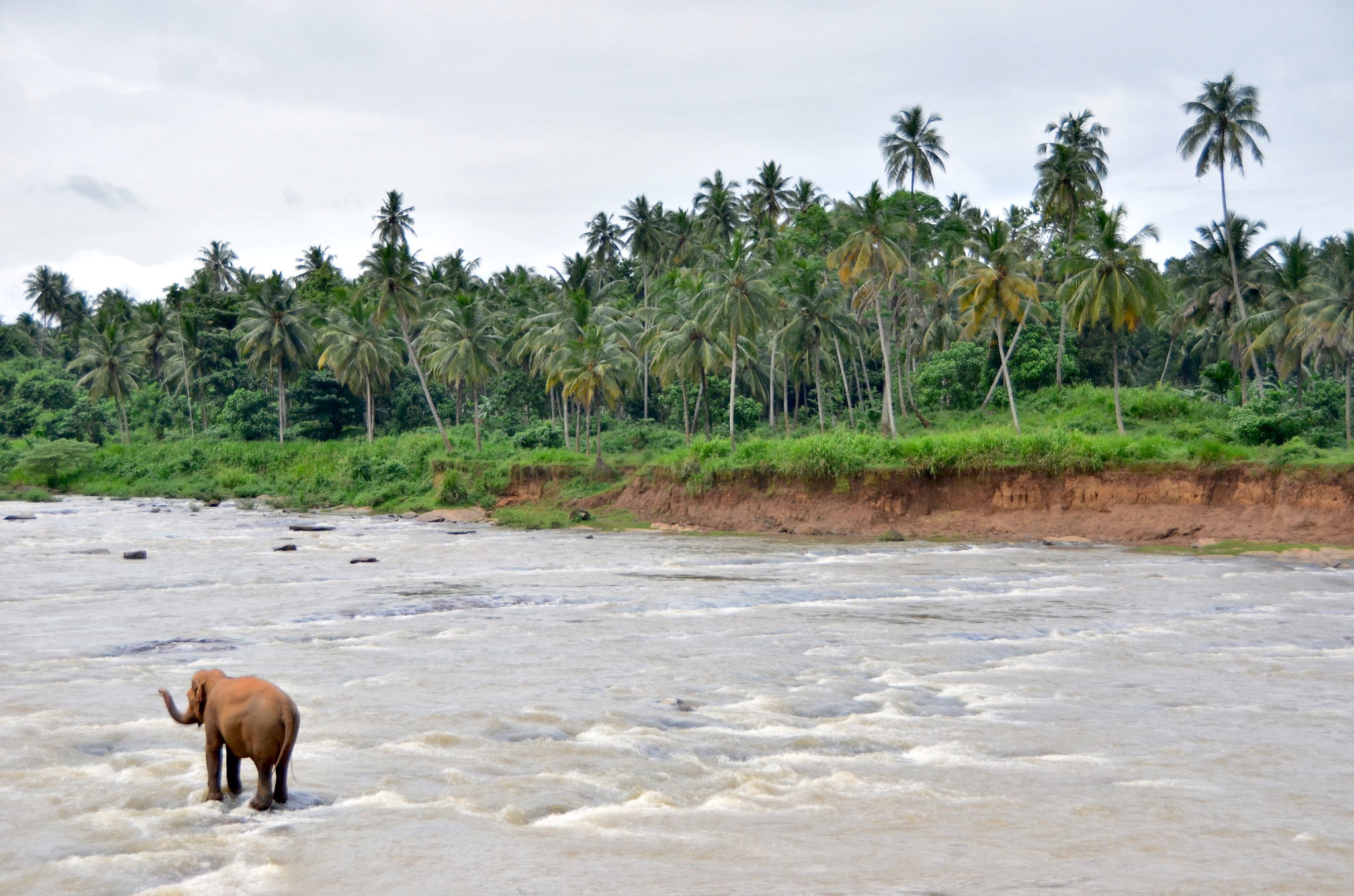 How Many Days to Spend in Sri Lanka