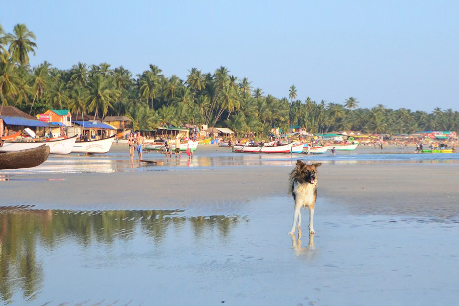 Palolem beach in Goa – travel guide