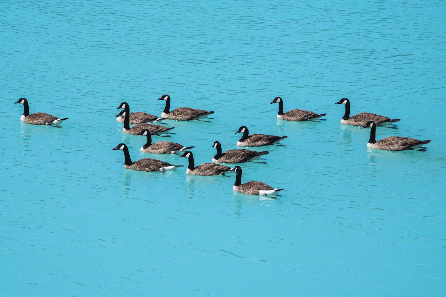 Lake Tekapo