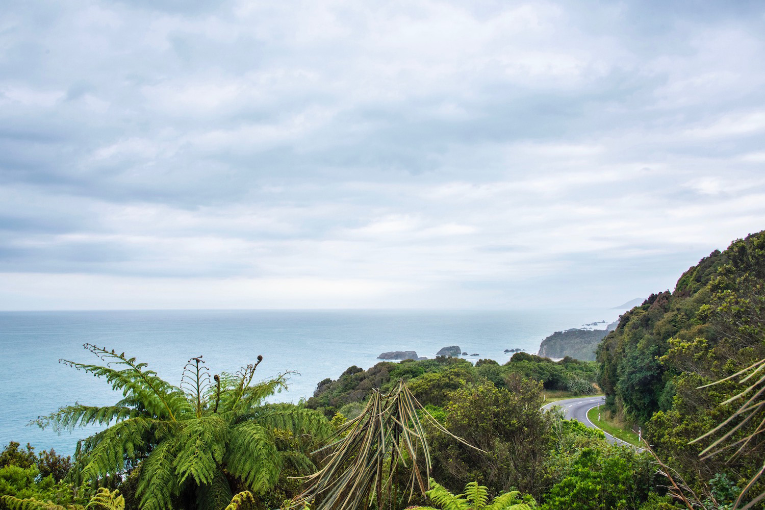 Franz Josef  Glacier Walk