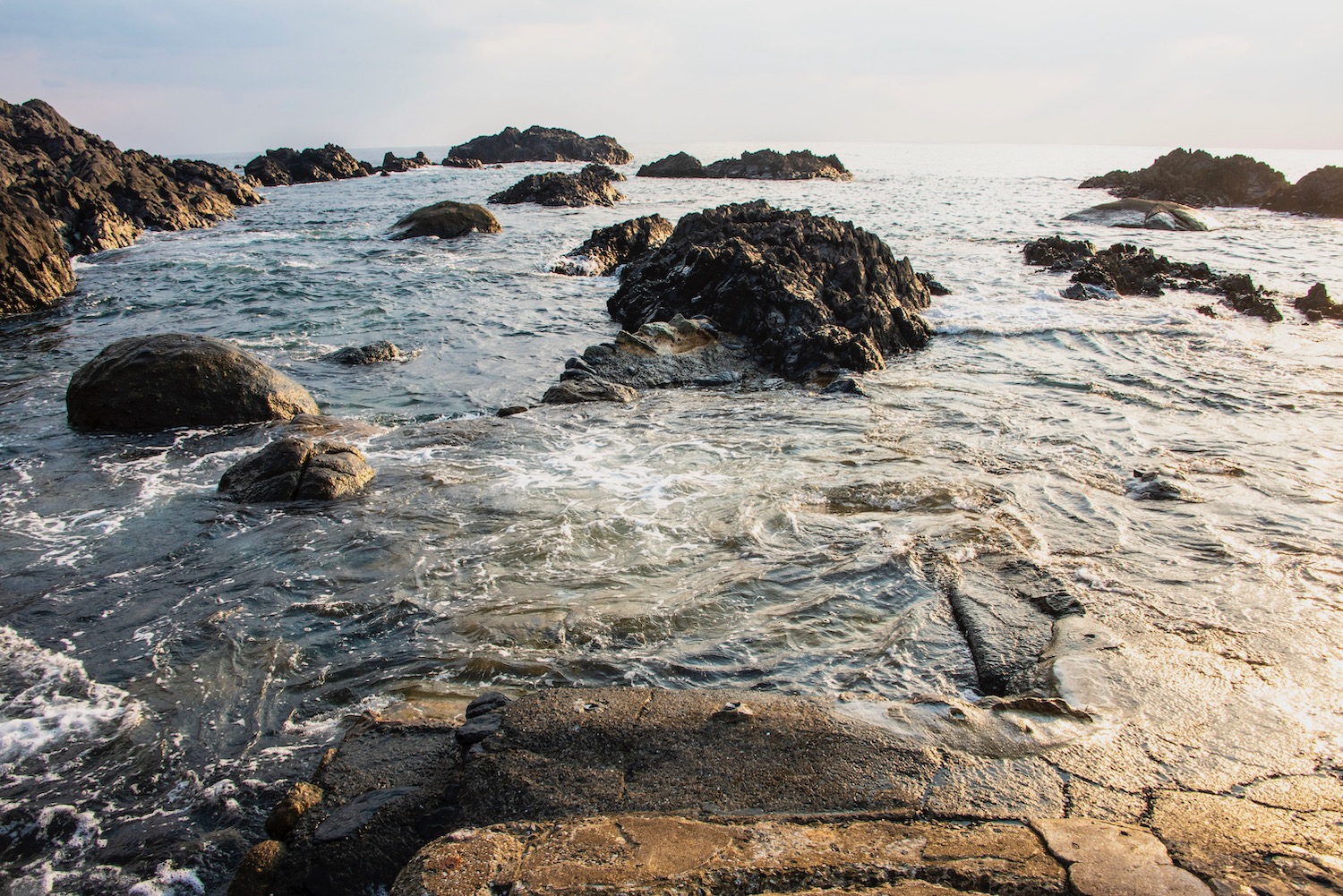 Yakushima Island