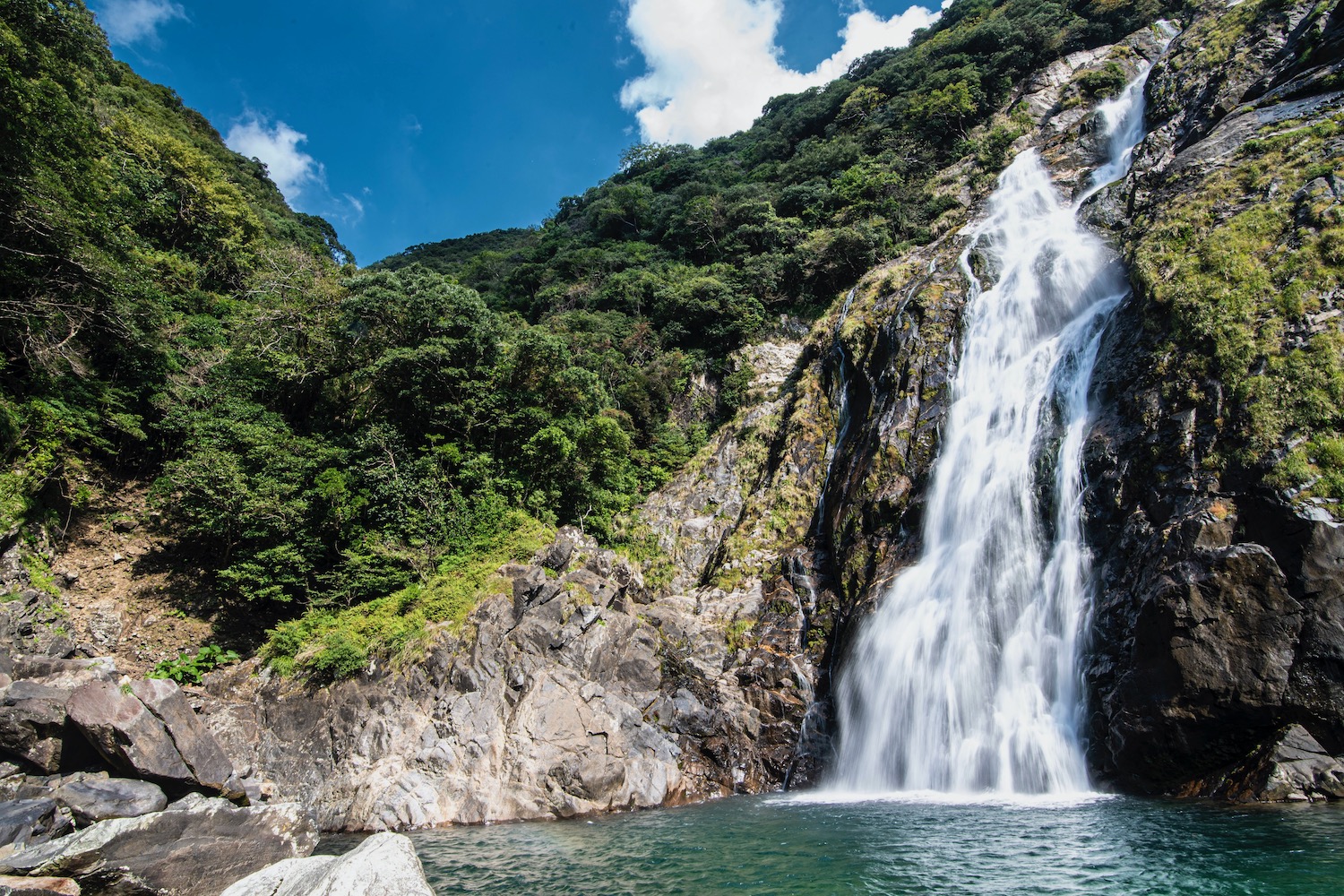 Yakushima Island