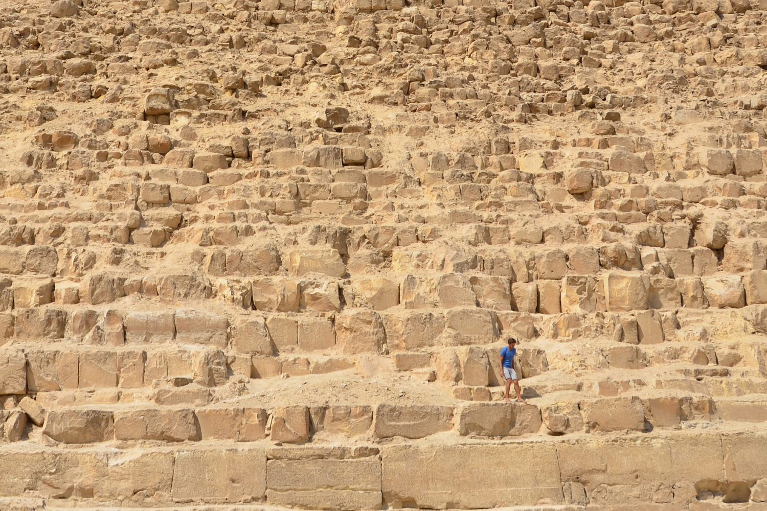 Egypt Starts Here