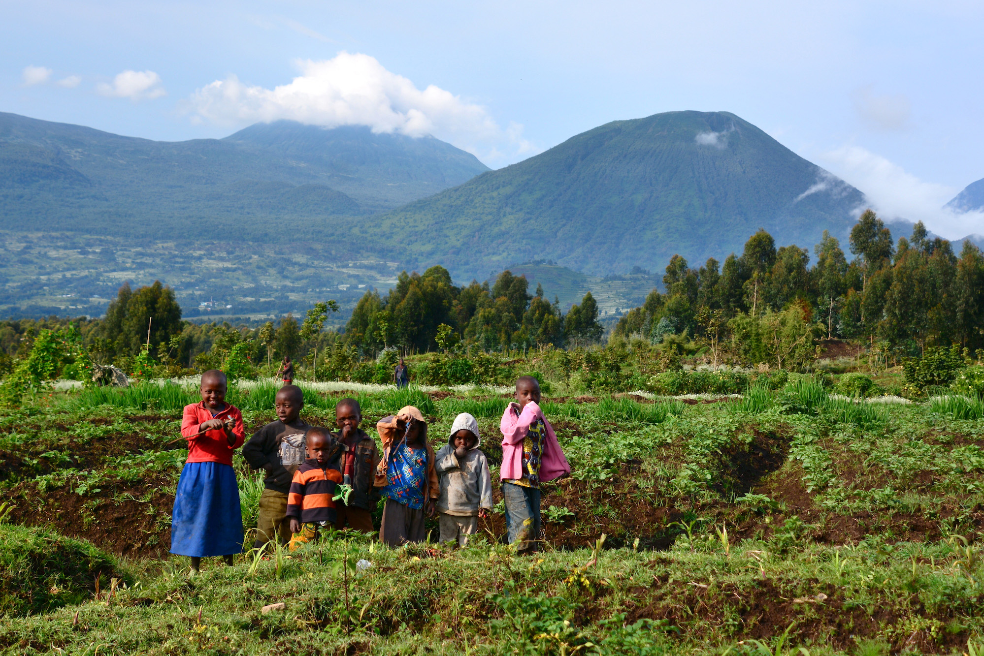 Is Rwanda Worth Visiting 