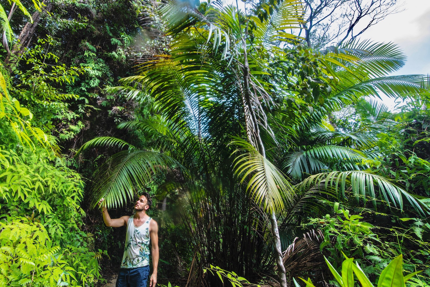 Penang Malaysia junge Jungle in Penang Malaysia