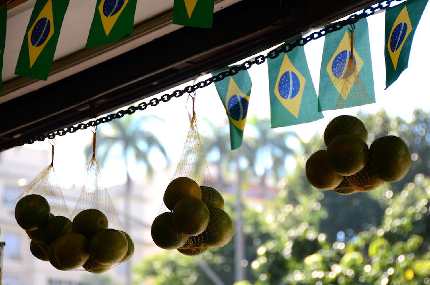 Brazil Starts Here