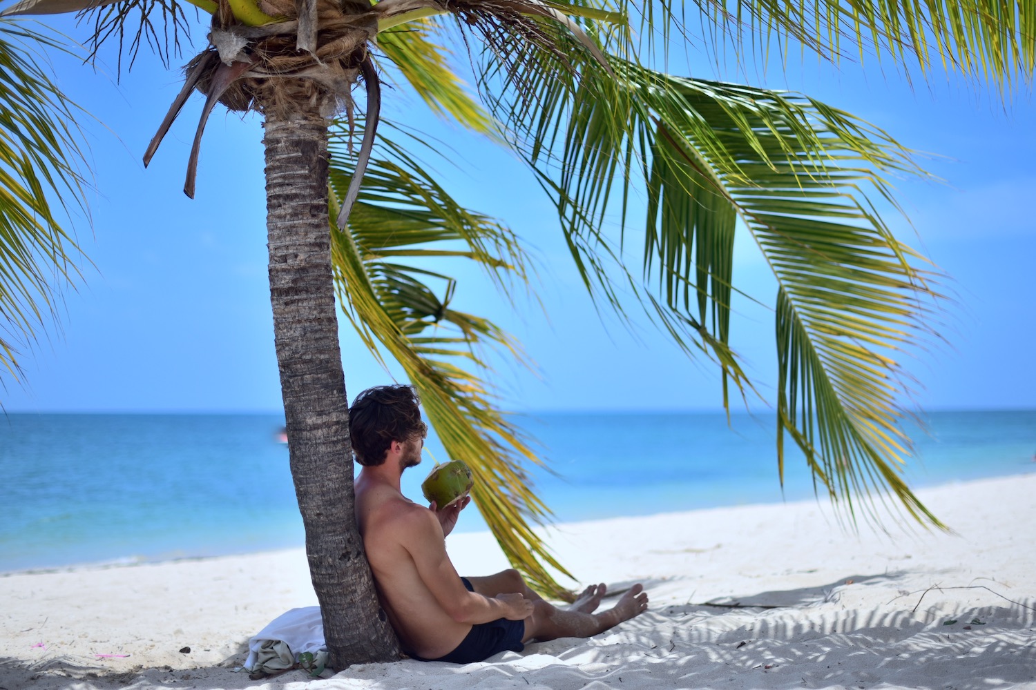 Cuba Starts Here