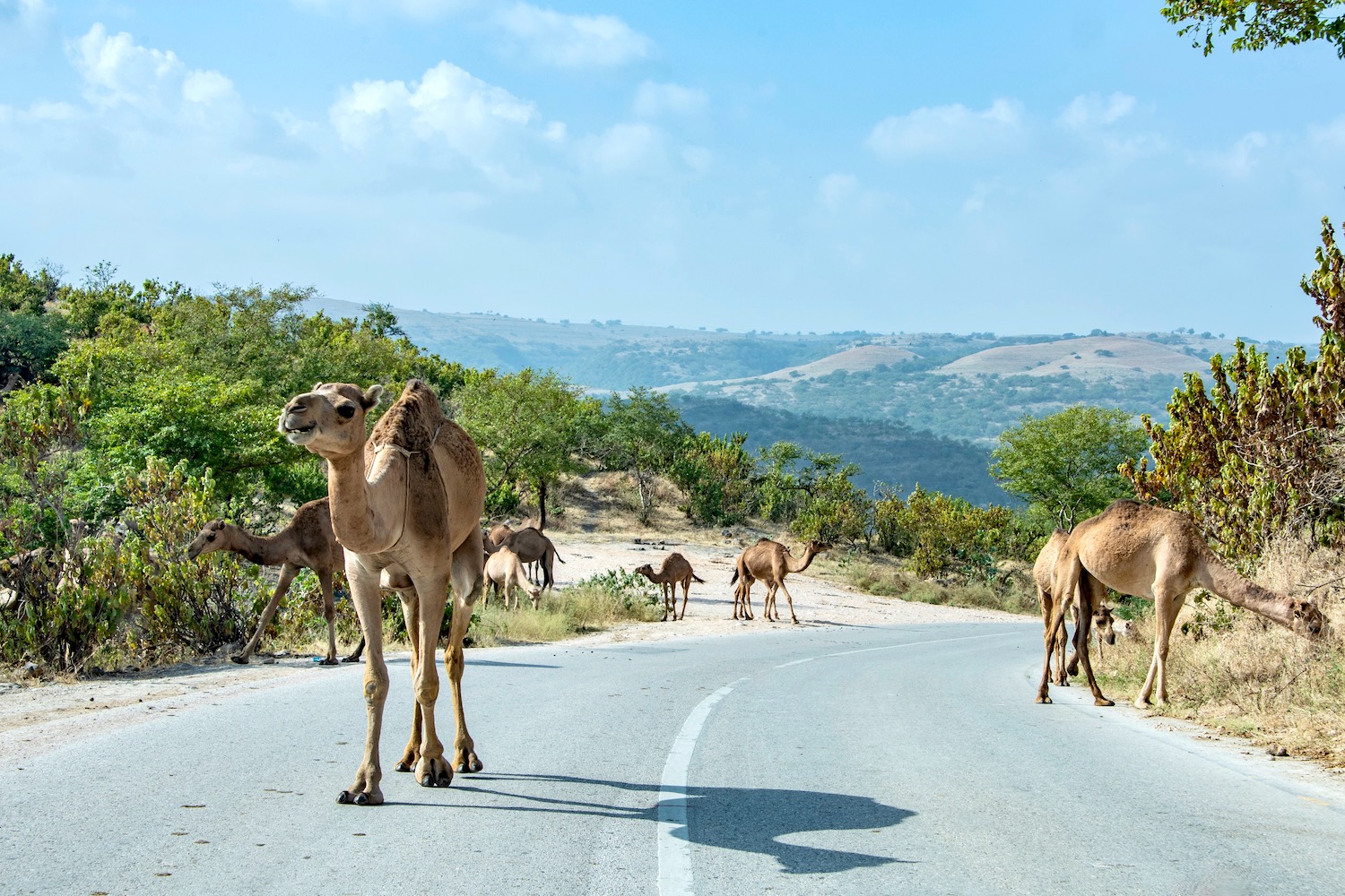 An Outstanding Oman Itinerary